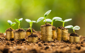 Some of the top EMR Vendors Proven to Increase Revenue