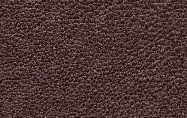 How to Wear and Take Care of Leather Clothes?