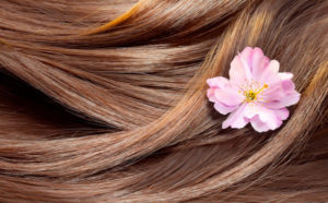 What Causes Hair Loss and How to Grow more Hair?