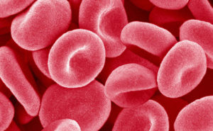 What is Platelet Rich Plasma (PRP) and How used for Hair Treatments?