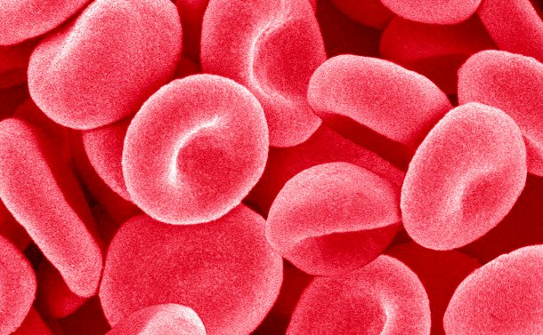 What is Platelet Rich Plasma (PRP) and How used for Hair Treatments?