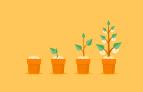 Selling Skills to Customer Relationship key Strategies to grow Business