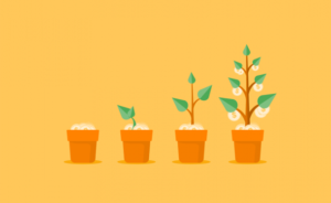 Selling Skills to Customer Relationship key Strategies to grow Business