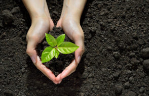 Benefits of IoT based Environmental Monitoring System