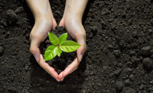 Benefits of IoT based Environmental Monitoring System