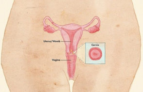 Ways to have a more Comfortable Cervical Screening