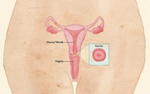 Ways to have a more Comfortable Cervical Screening