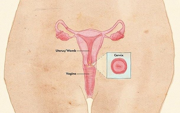 Ways to have a more Comfortable Cervical Screening