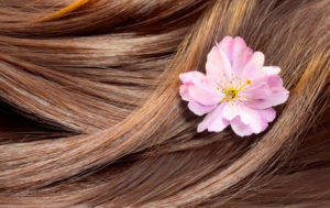 Ultimate Hair Care Routine you Should follow this Summer