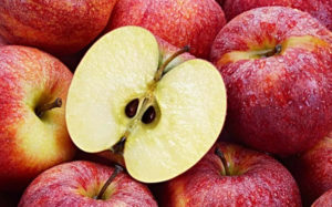 Intermittent Fasting, Mediterranean plus DASH Diet for Weight Loss