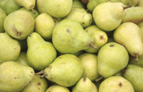 6 Summer Foods Grown from the Ground with Awe-inspiring benefits