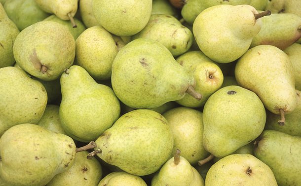 6 Summer Foods Grown from the Ground with Awe-inspiring benefits