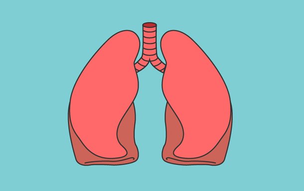 Choosing the best Humidifier for Respiratory Health