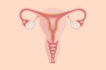 Painful Periods, Pregnancy or bleeding 7 Signs to go for a Gynecologist