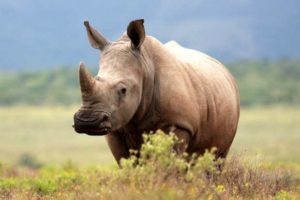 A Day Trip Guide to Philadelphia Zoo