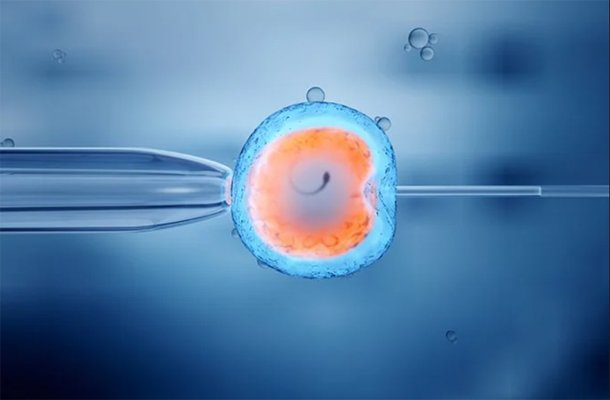 Major Factors to Choose the best IVF Doctor in Jaipur