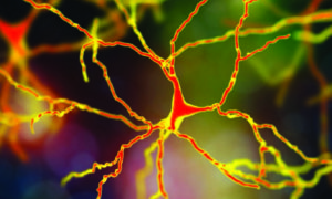 Best Care for Neurology Issues with Top Neuro Hospitals in India