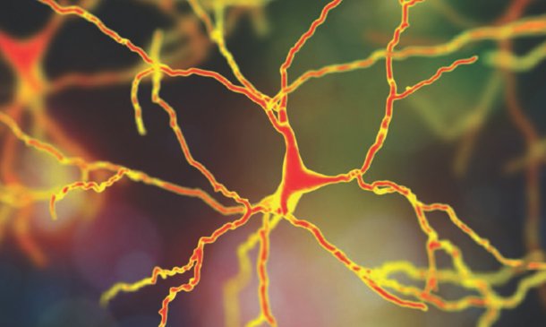 Best Care for Neurology Issues with Top Neuro Hospitals in India