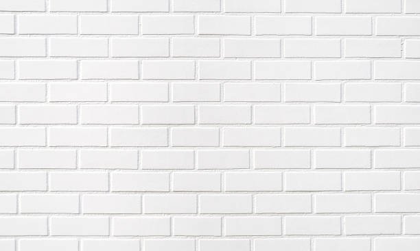Guide to Waterproofing Basement Walls to Save from Water Damage