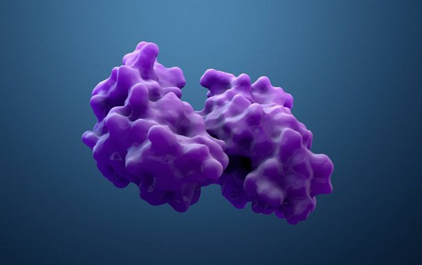 Uses of Enzymes in Various Sectors