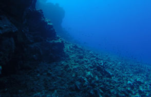 Scuba Diving in Andaman in Havelock Island or Marine Marvels