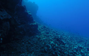 Scuba Diving in Andaman in Havelock Island or Marine Marvels