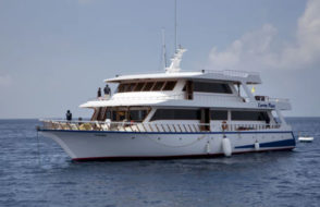 Why must you explore Sharjah Boat Tour?