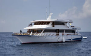 Why must you explore Sharjah Boat Tour?