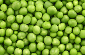 Peas Cultivation in India - A Revolution for Sustainable Agriculture