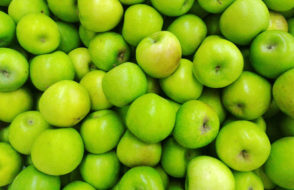 Nurturing the Essence of Life - A Deep Dive into the World of Health