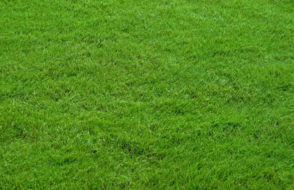 Botanical Gardens and hidden Oases in and around Los Angeles