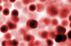 The vital Role of Oestrogen Blood Test for Estrogenic Hormone