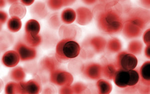 The vital Role of Oestrogen Blood Test for Estrogenic Hormone