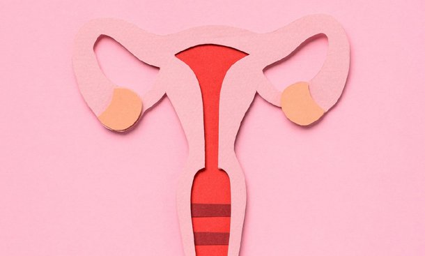 cervix-pregnancy