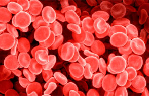 Understanding the Importance of CBC Tests