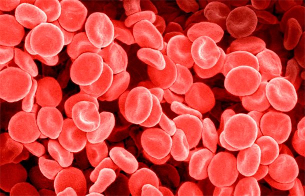 Understanding the Importance of CBC Tests