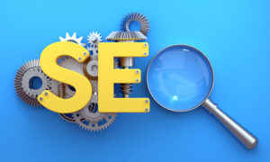 Choosing the Right Search Engine Optimization Consultant?