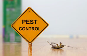 Effective Strategies for Pest Control in Urban Environments