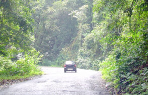 Effortless Group Trips - Mysore to Coorg Tempo Traveller