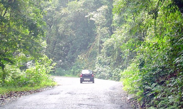Effortless Group Trips - Mysore to Coorg Tempo Traveller