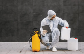 Comprehensive Guide to Pest Control Solutions in Coastal Communities