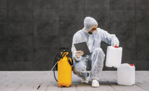 Comprehensive Guide to Pest Control Solutions in Coastal Communities