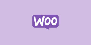 Optimizing Pricing Strategies Using WooCommerce Min/Max Quantities