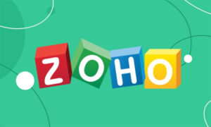 Zoho Consulting, CRM Customization, and Creator Services