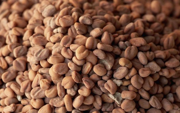 An Easy-to-Read Guide to Fenugreek Farming in India