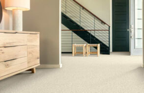 Why Professional Carpet Cleaning Services are Critical for Home Maintenance?