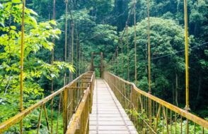 Comfortable Tempo Traveller Packages for Mysore to Coorg Trips