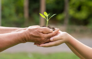 How to Practice Sustainable Living without Overhauling your entire Lifestyle?