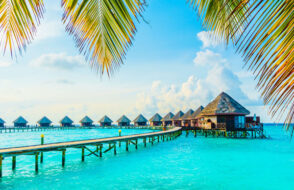 Step by Step Guide to Planning a Tour Trip