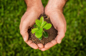 Transforming Agriculture - The Role of AI, Drones, IoT, and Precision